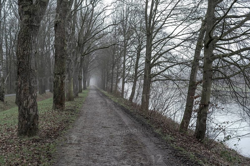 A misty path and riverbank lined with bare trees, under a calm, overcast sky