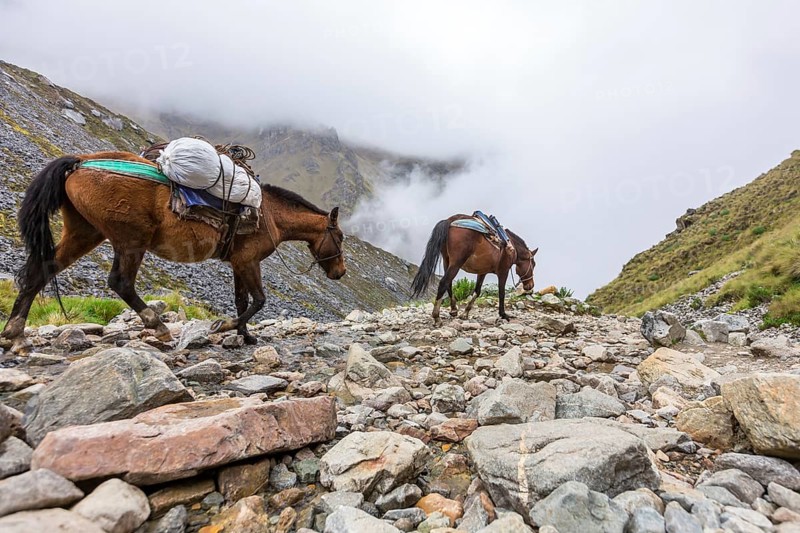 Salkantay Trekking in Peru, South America