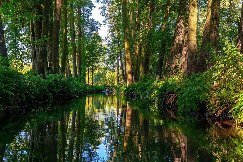 Spreewald