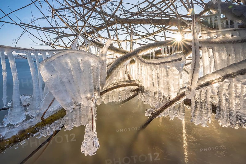 Icy branches and icicles in the winter sun, Niederzell, Reichenau, Lake Constance, Baden-Württemberg, Germany, Europe
