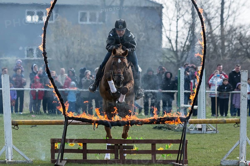 Sofia, Bulgaria - March 19, 2016: A policeman from Horse police unit in jumping with his horse above a fire barrier while participating in a parade at Saint Theodore's day