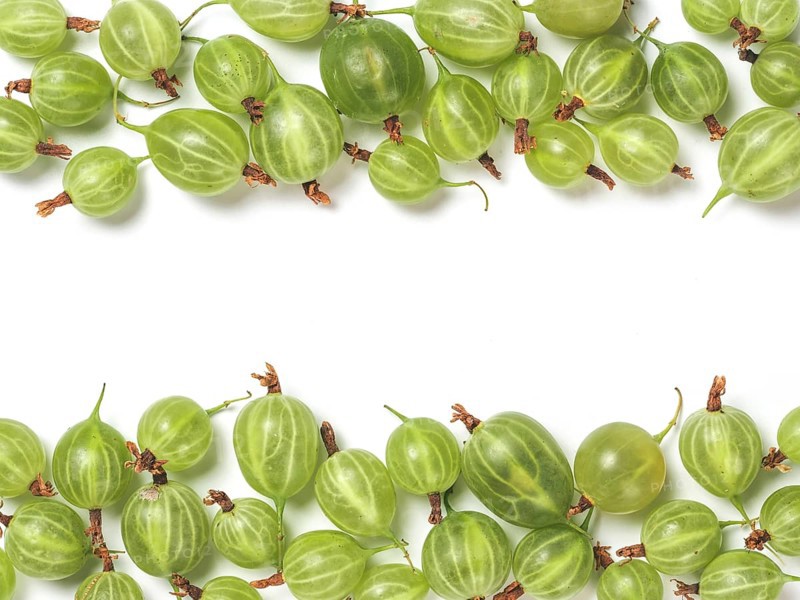 Ripe green gooseberry pattern. Creative layout made of organic gooseberries. Isolated on white with clipping path. Top view or flat lay. Copy space for text in center. Food concept