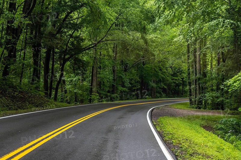 Road trip and traversing along the beautiful protected area of the park