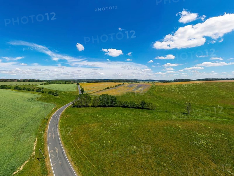 Aerial view of flowering meadows and fields
