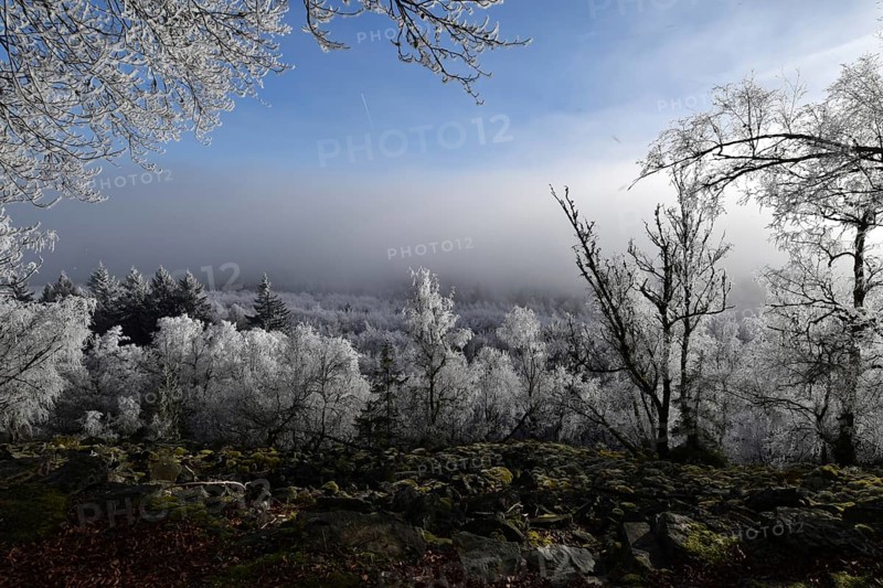 View from the summit ridge of the Mörschieder Burr in the Hunsrück-Hochwald National Park with rocks and hoarfrost on the trees on a sunny day with fog in the valley, Rhineland-Palatinate, Germany, Europe