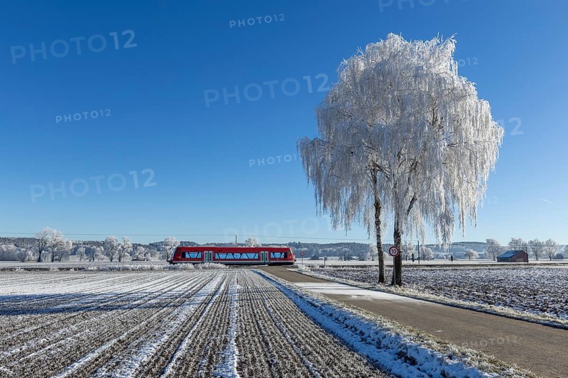 Red train travelling through a snow-covered field past an icy tree, hoarfrost in Unterallgäu, Bavaria, Germany, Europe