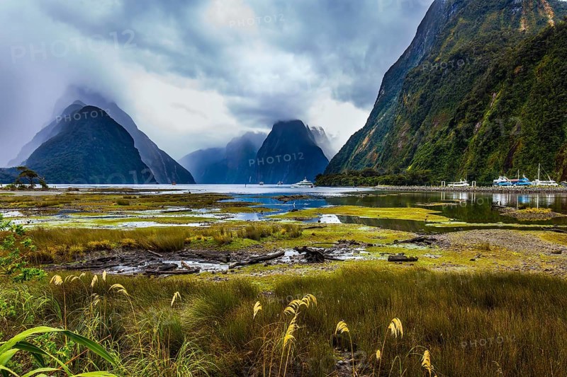 Overgrown with marsh grass coast of the fjord. Sunlight breaks through storm clouds. New Zealand - magic land of hobbits. Concept of exotic, active and photographic tourism