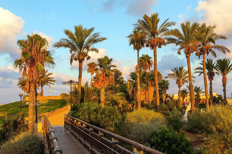 Picturesque bridge over a ravine. Evening twilight over Old Jaffa. Palm trees on the hill Abrasha Park. Sunset. Old Yaffo, Tel Aviv. Concept active, informative and photo tourism