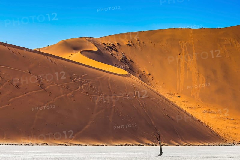 Namib-Naukluft National Park. Orange-gold sand dunes around the dried up lake. On the crest of the dunes are tourists. Travel to Namibia
