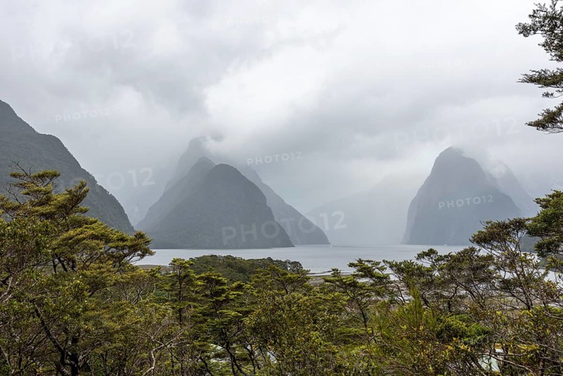 Magnificent panoramic view of Milford Sound during rainy weather, South Island of New Zealand