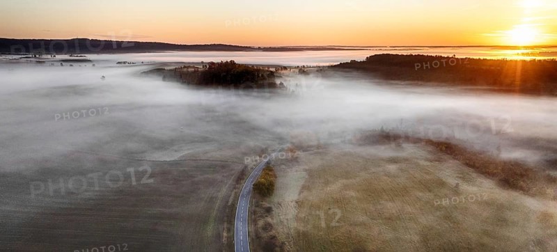 Harz landscape in the fog autumn mood