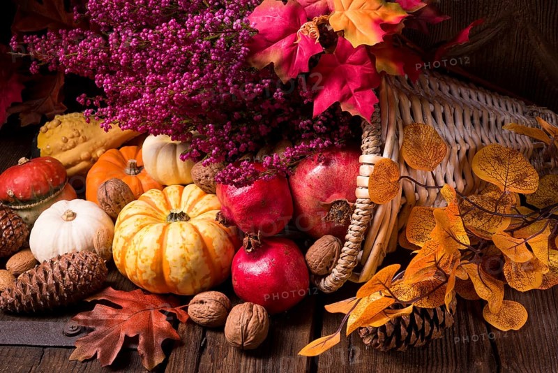 Cornucopia