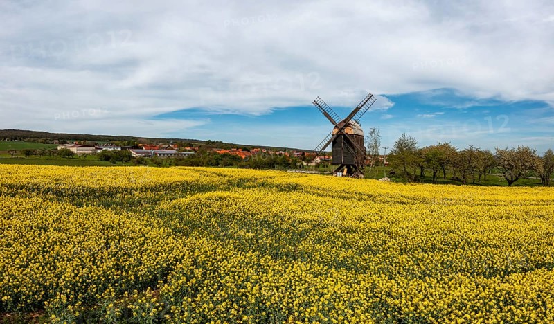 Aerial photographs district Harz Mühle Sargstedt