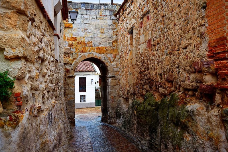 Zamora door of Dona Urraca in Spain by the via de la Plata way of Saint James