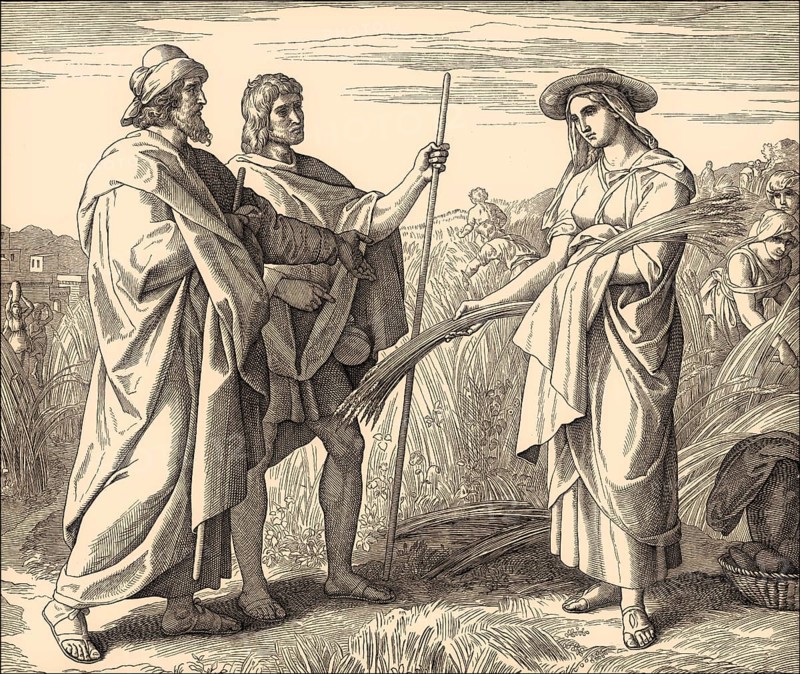 Ruth in Boaz's Field, Old Testament, by Julius Schnorr von Carolsfeld