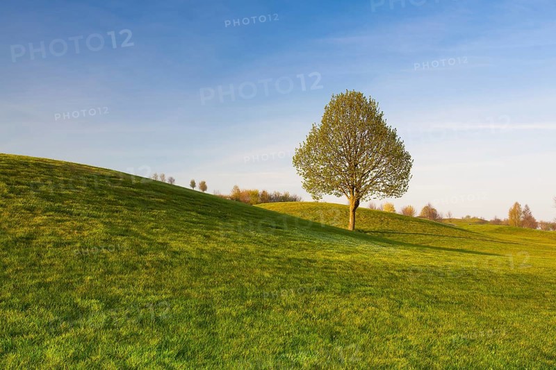 On a empty golf course at sunset
