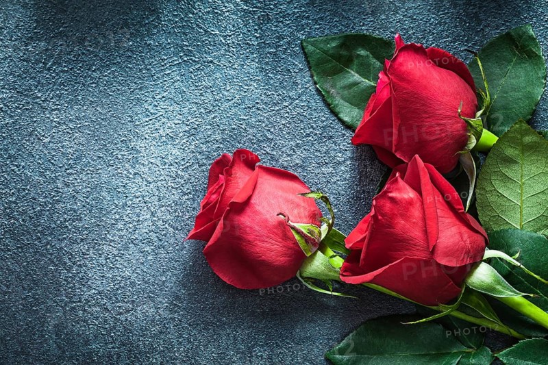 Bunch of red roses on black background celebrations concept