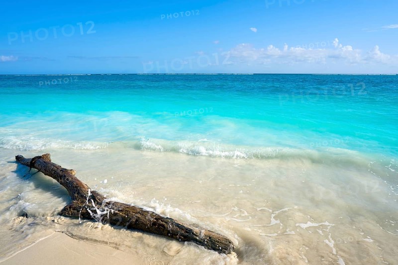 Riviera Maya Caribbean beach turquoise in Mayan Mexico