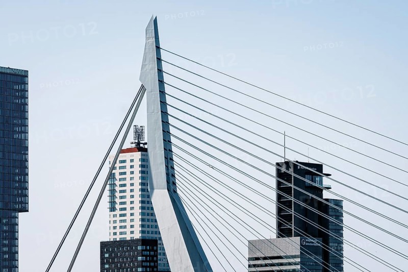Rotterdam, Netherlands, May 8, 2022: Port of Rotterdam skyscraper and Erasmusbrug bridge against sky. Contemporary architecture. Telephoto lens view