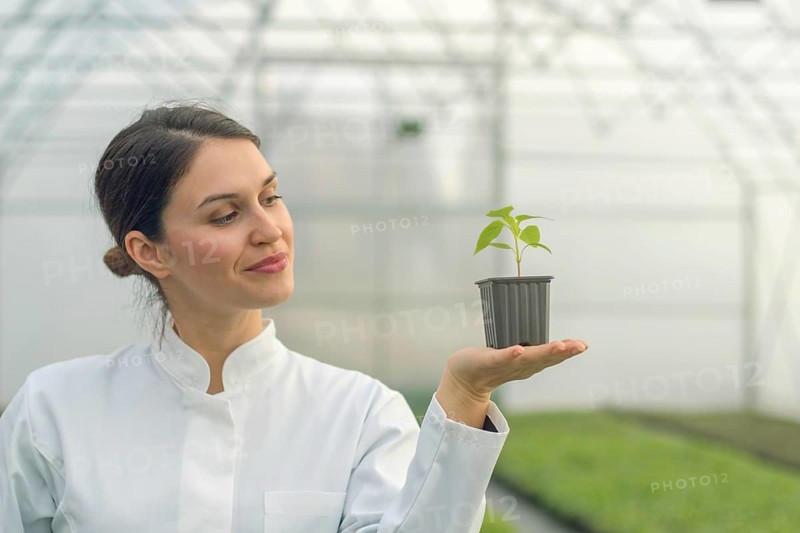 Woman holding potted plant in greenhouse nursery. Seedlings Greenhouse