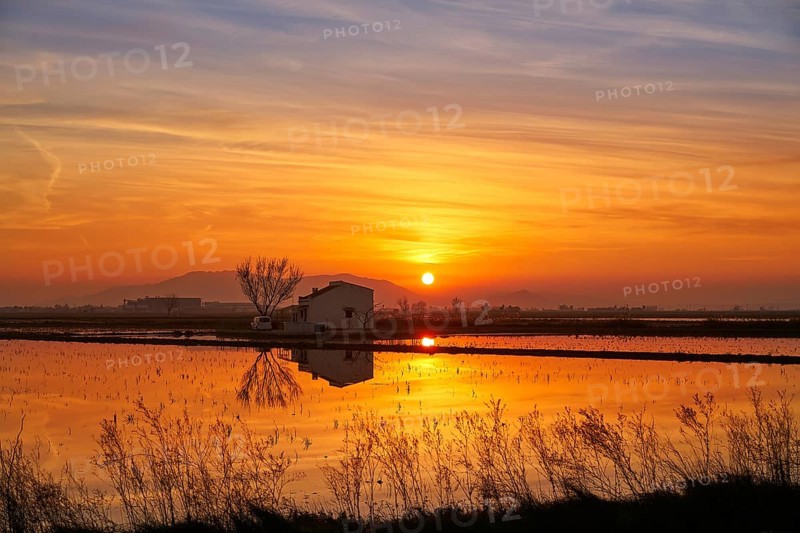 Delta del Ebro Ebre sunset in Deltebre of Tarragona at Catalonia spain