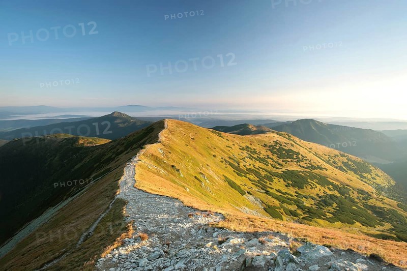 Peak in the Carpathian Mountains on the Polish-Slovak border, August, Poland, Europe