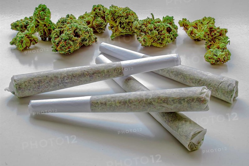 Several Pre-Rolls of Medicinal Cannabis with Flower Cannabis on the background