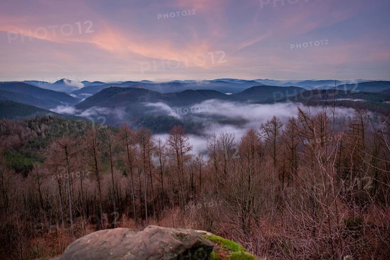 Landscape shot with cloudy sky and fog in the valley. View from a rock in the middle of forest and nature. Viewpoint in the morning in the Palatinate Forest, Germany, Europe