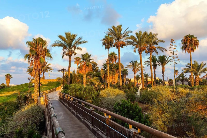 Picturesque bridge over a ravine. Evening twilight over Old Jaffa. Sunset. Old Yaffo, Tel Aviv. Palm trees on the hill Abrasha Park. Concept active, informative and photo tourism