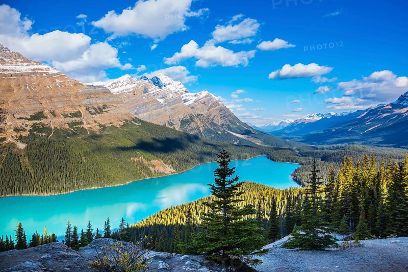 Mountain Lake as a fox head is popular among tourists. Turquoise Lake Peyto in Banff National Park, Canada, North America