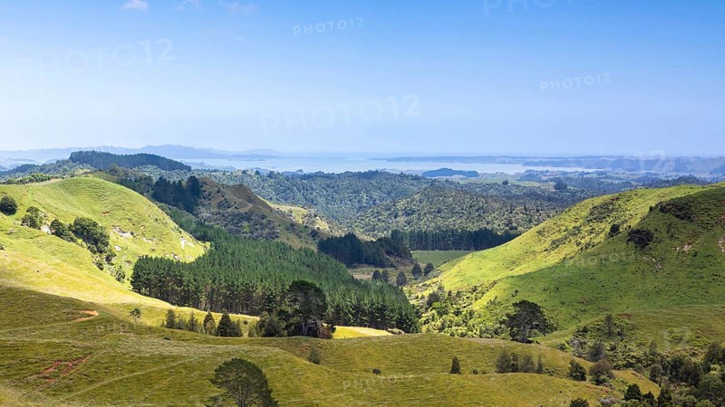An image of a beautiful landscape near Matamata New Zealand