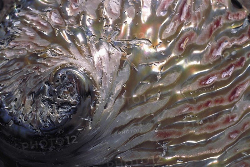 Nature closeup conceptual abstract showing contemplative colour mud