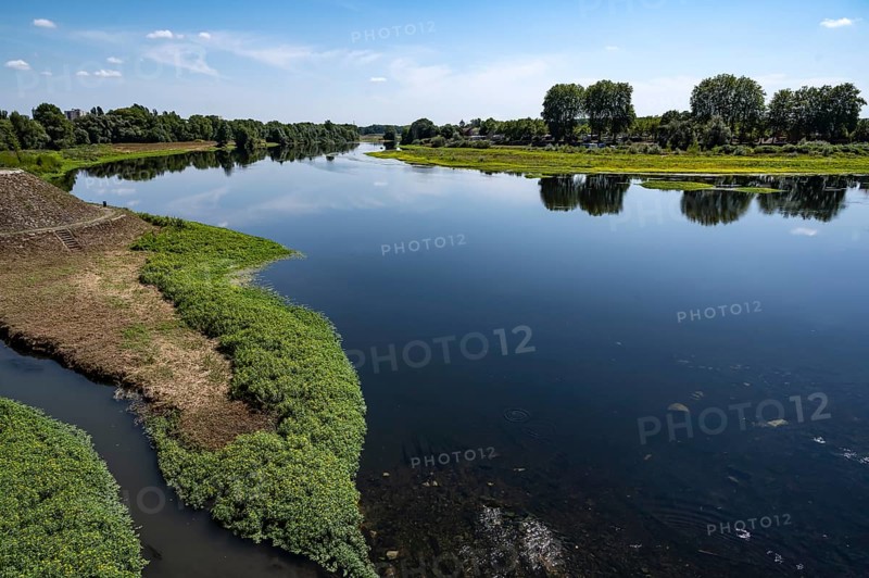 Natural bank of the Loire River near Nevers, Nievre department, Bourgogne-Franche-Comte, France, Europe