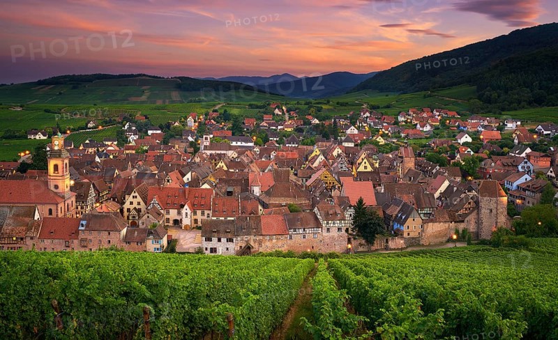 View of Riquewihr from the top of the hill with a vineyard on the foreground