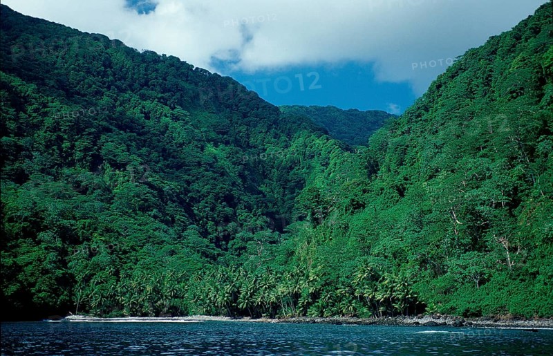 Cocos Island, Costa Rica, South America, Central America