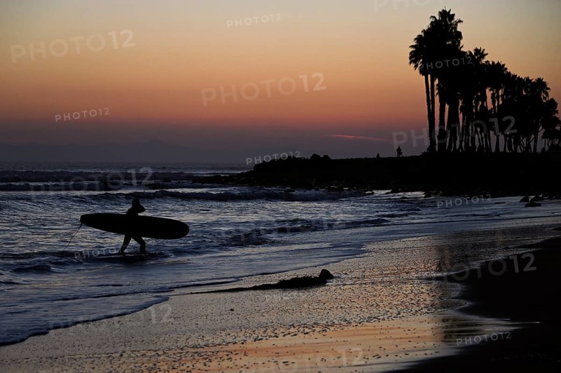 Surfers at sunset on the Pacific Ocean, on the beach in Ventura, California, USA, North America