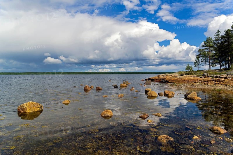 The littoral zone at hight tide. The shore of the White Sea. Kandalaksha Gulf, Karelia, Russia, end of June, Europe
