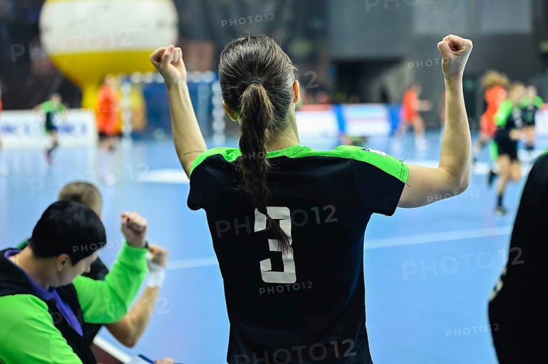 Woman player's back handball match in the background