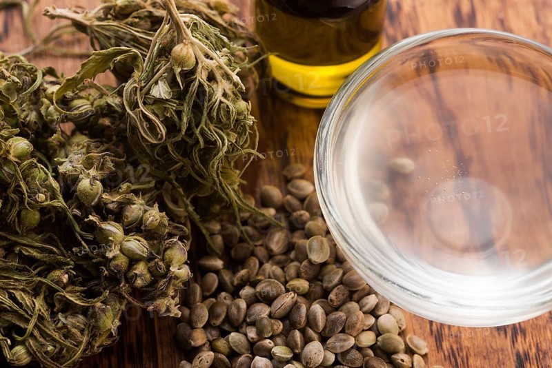 Cannabis extract with leaves
