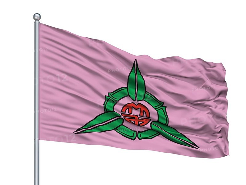 Tarragona City Flag On Flagpole, Country Spain, Isolated On White Background