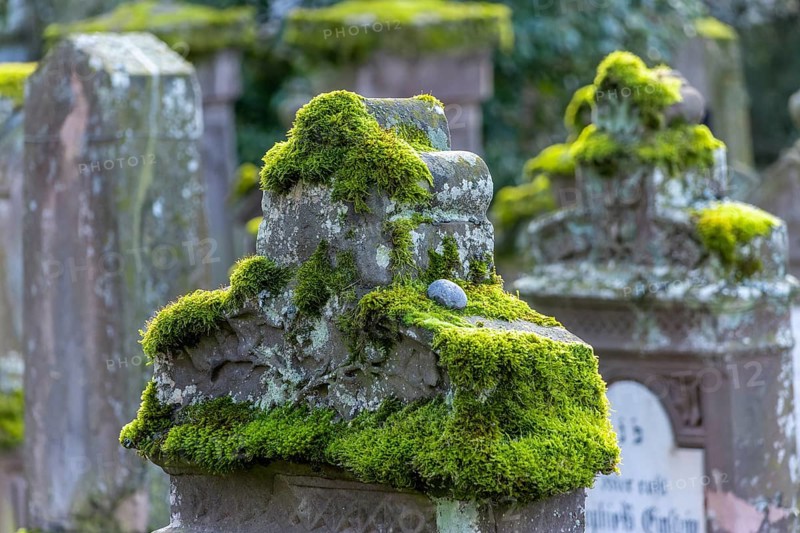 Jewish cemetery with gravestones and grave slabs with green moss, Bad-Buchau, Upper Swabia, Baden-Württemberg, Germany, Europe