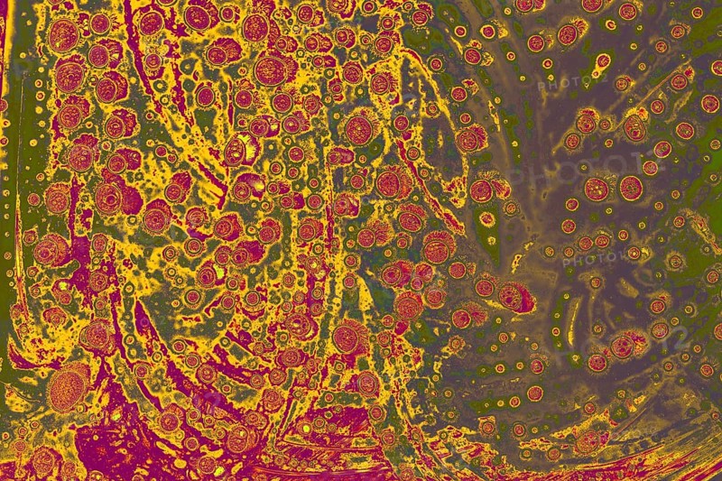 Air bubbles inside water base form patterns