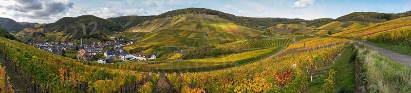 Hiking on the red wine trail in the Ahr valley with sunshine in autumn