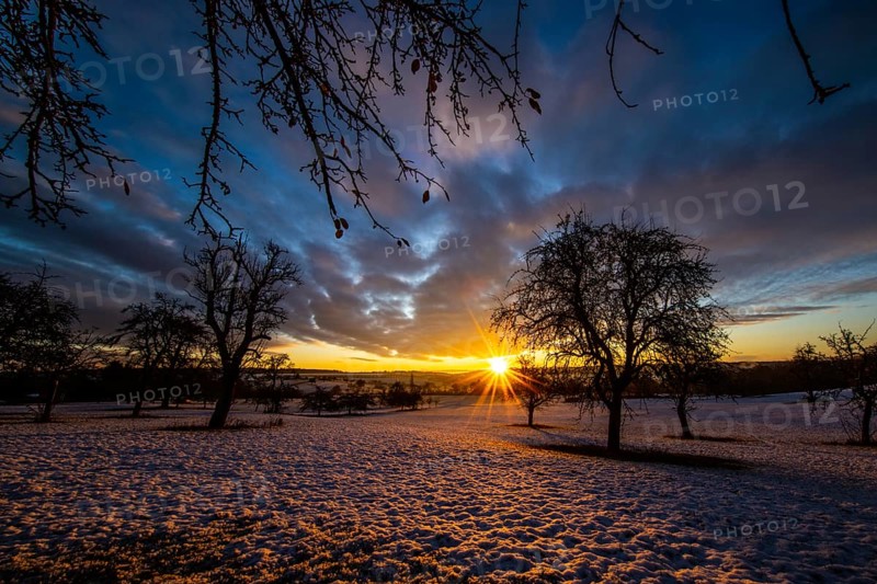 Sunrise, meadow orchard, winter