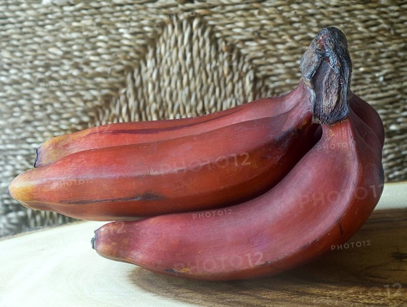 Red bananas on teak wood