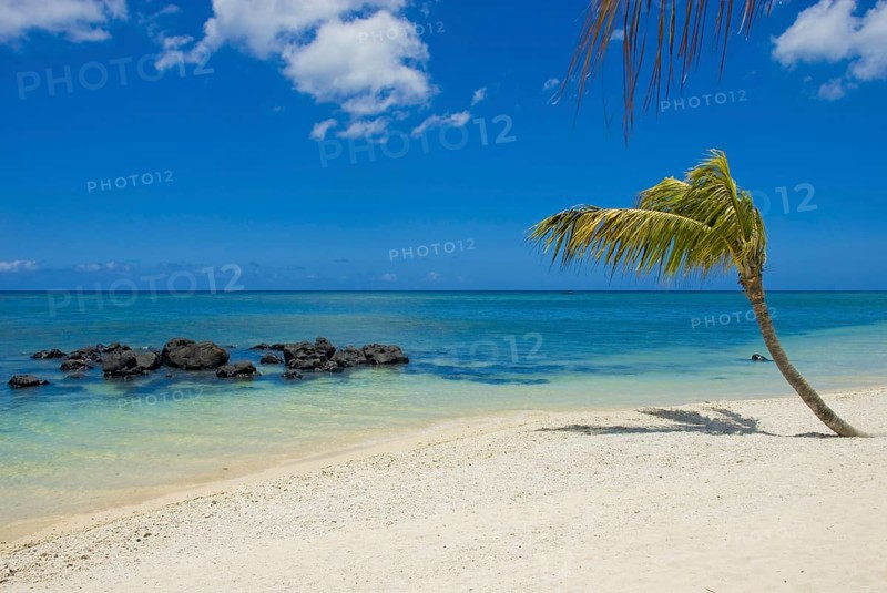 Mauritius beach landscape