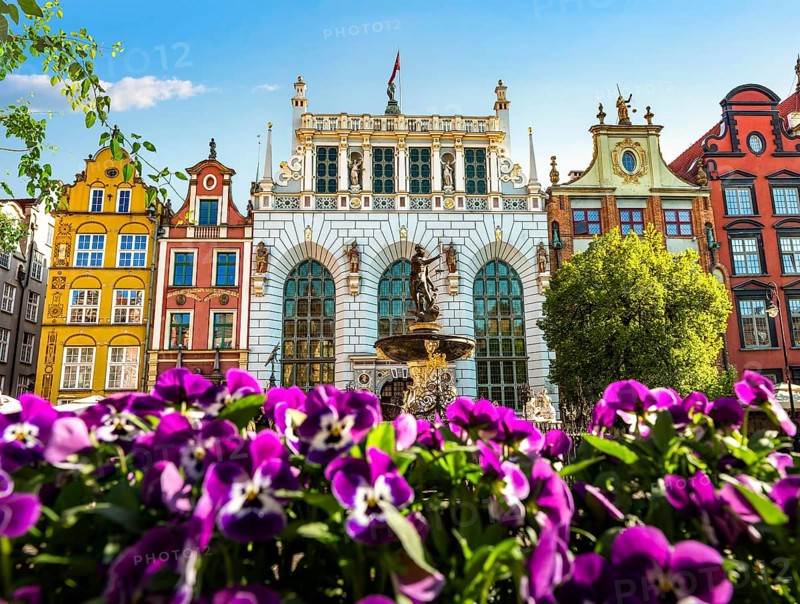 Fountain of Neptune and flowers in Gdansk, Poland, Europe