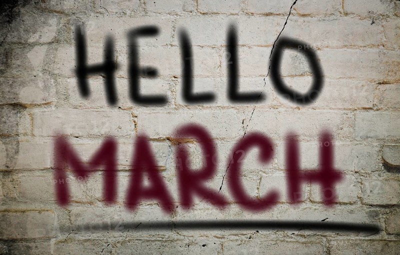 Months Of The Year Concept