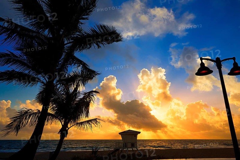 Fort Lauderdale beach morning sunrise in Florida USA palm trees