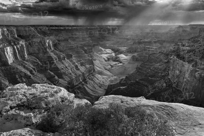 Cape Royal Afternoon, North Rim of the Grand Canyon, Grand Canyon National Park, Arizona